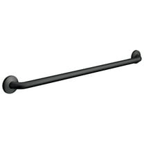 Asi 3801-42 42" Grab Bar - Black