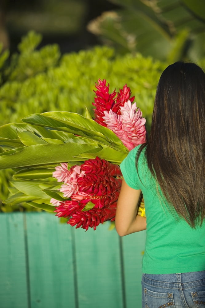 Asian American teenage girl holding red and pink ginger flowers Canvas Art - Dana Edmunds Design Pics (11 x 17)