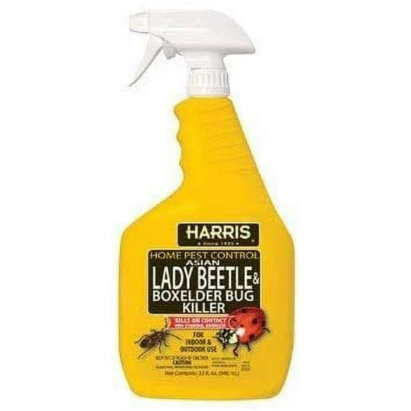 Asian Beetle Killer