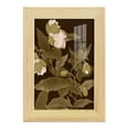 thumbnail image 1 of Asian Brocade I - Framed Print w/glass - Natural Wood, 1 of 8