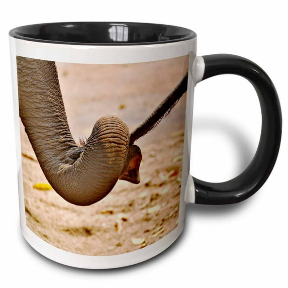 3drose, Asian Elephants, Elephant Conservation, Lampang, Thailand-as36 Aje0158 - Adam Jones, 11oz Two-tone Black Mug