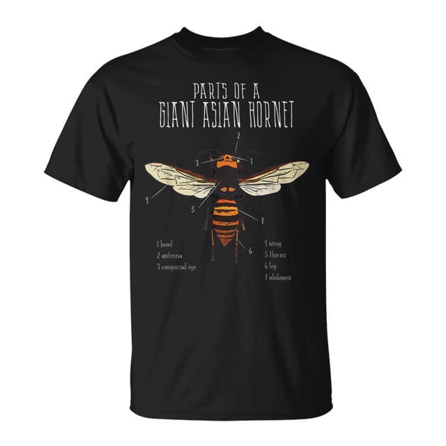 Asian Giant Hornet Japanese Black Bee Insect Anatomy Drawing Men Women ...