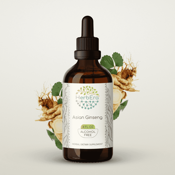 HerbEra Asian Ginseng Tincture, Herbal Dietary Supplement for Energy Support, Korean Red Ginseng (Asian Ginseng, Panax ginseng) Dried Root Extract, Natural, Alcohol-Free, Drops 4 oz