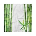 thumbnail image 1 of Asian Head Scarf, Branches of Bamboo Plant, Head Wrap, 3 Sizes, by Ambesonne, 1 of 2