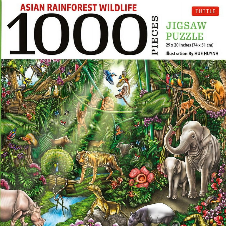 Fotografia Asian rainforest jungle - em