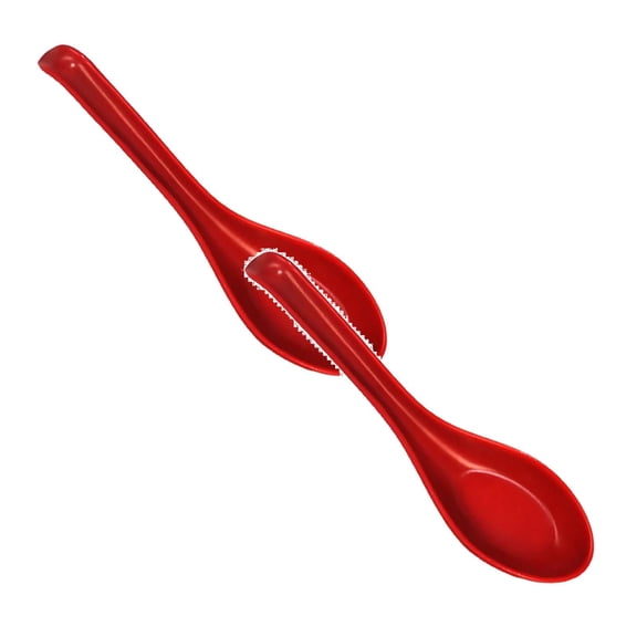 Asian Soup Spoons, Chinese Japanese Miso Ramen Wonton Dumpling Pho Rice Noodle Soba Soup Spoons, Red and Black Plastic Spoons, 2 Pcs, 6.29 Inches