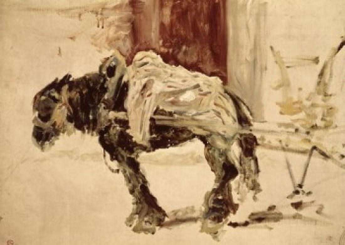 Asinello Henri de Toulouse-Lautrec (1864-1901French) Musee Toulouse-Lautrec Albi France Canvas Art - Henri de Toulouse-Lautrec (24 x 36)
