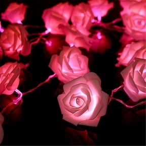 Asisol Rose Flower Fairy String Lights 6.5ft 20 LED Battery Operated Indoor String Lights Romantic Gift for Date Wedding Party Bedroom Girl Girlfriend Valentine's Day Decor (Pink)
