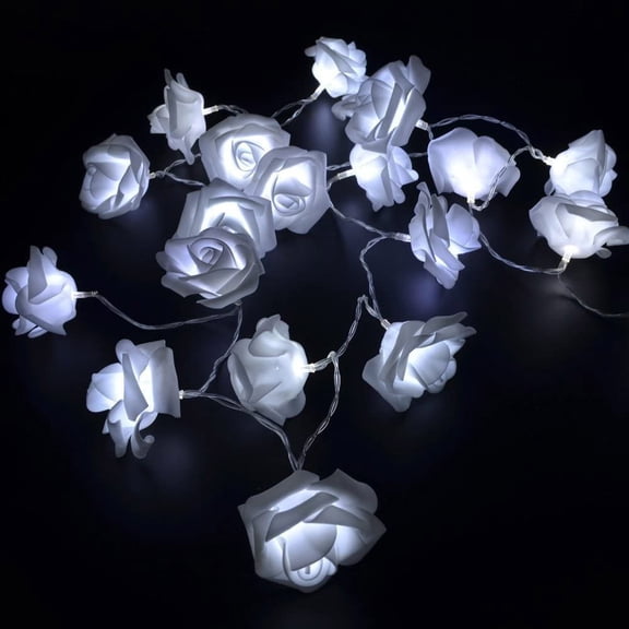 Asisol Rose Flower Fairy String Lights 6.5ft 20 LED Battery Operated Indoor String Lights Romantic Gift for Date Wedding Party Bedroom Girl Girlfriend Valentine's Day Decor (Cool White)