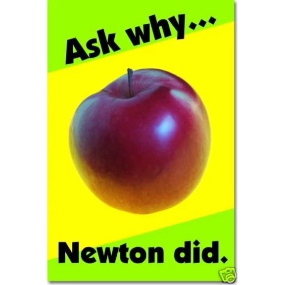 Ask Why Newton Did - Science - School Classroom Motivational New Poster