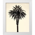 thumbnail image 1 of Asla, Erik 12x14 White Modern Wood Framed Museum Art Print Titled - Palm Tree 1996 (Tan), 1 of 4