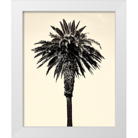 Asla, Erik 12x14 White Modern Wood Framed Museum Art Print Titled - Palm Tree 1996 (Tan)