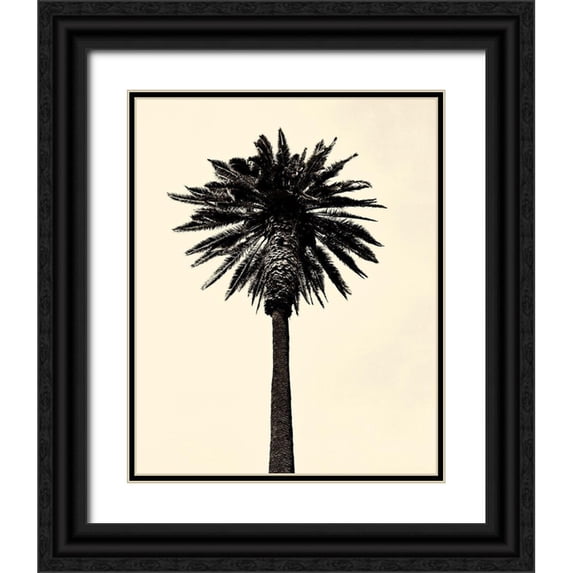 Asla, Erik 20x24 Black Ornate Wood Framed with Double Matting Museum Art Print Titled - Palm Tree 1979 Tan
