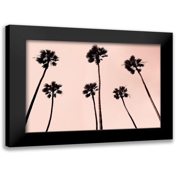 Asla, Erik 24x18 Black Modern Framed Museum Art Print Titled - Palm Trees 1997 Copper