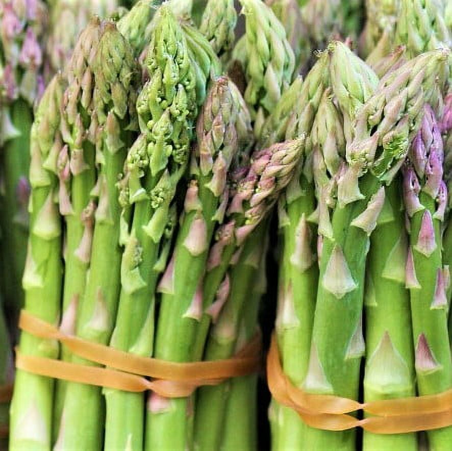 Asparagus Seeds, Precoce D'argenteuil, Heirloom, Non GMO, 100+ Seeds