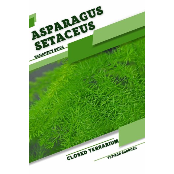 Asparagus setaceus: Closed terrarium, Beginner's Guide, (Paperback)