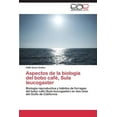 thumbnail image 1 of Aspectos de La Biologia del Bobo Cafe, Sula Leucogaster (Paperback), 1 of 1