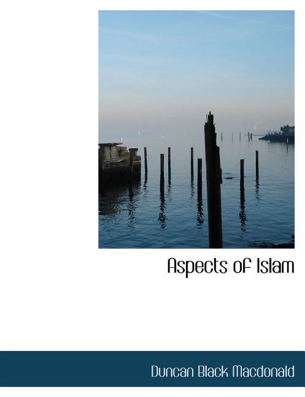 Aspects of Islam (Paperback)