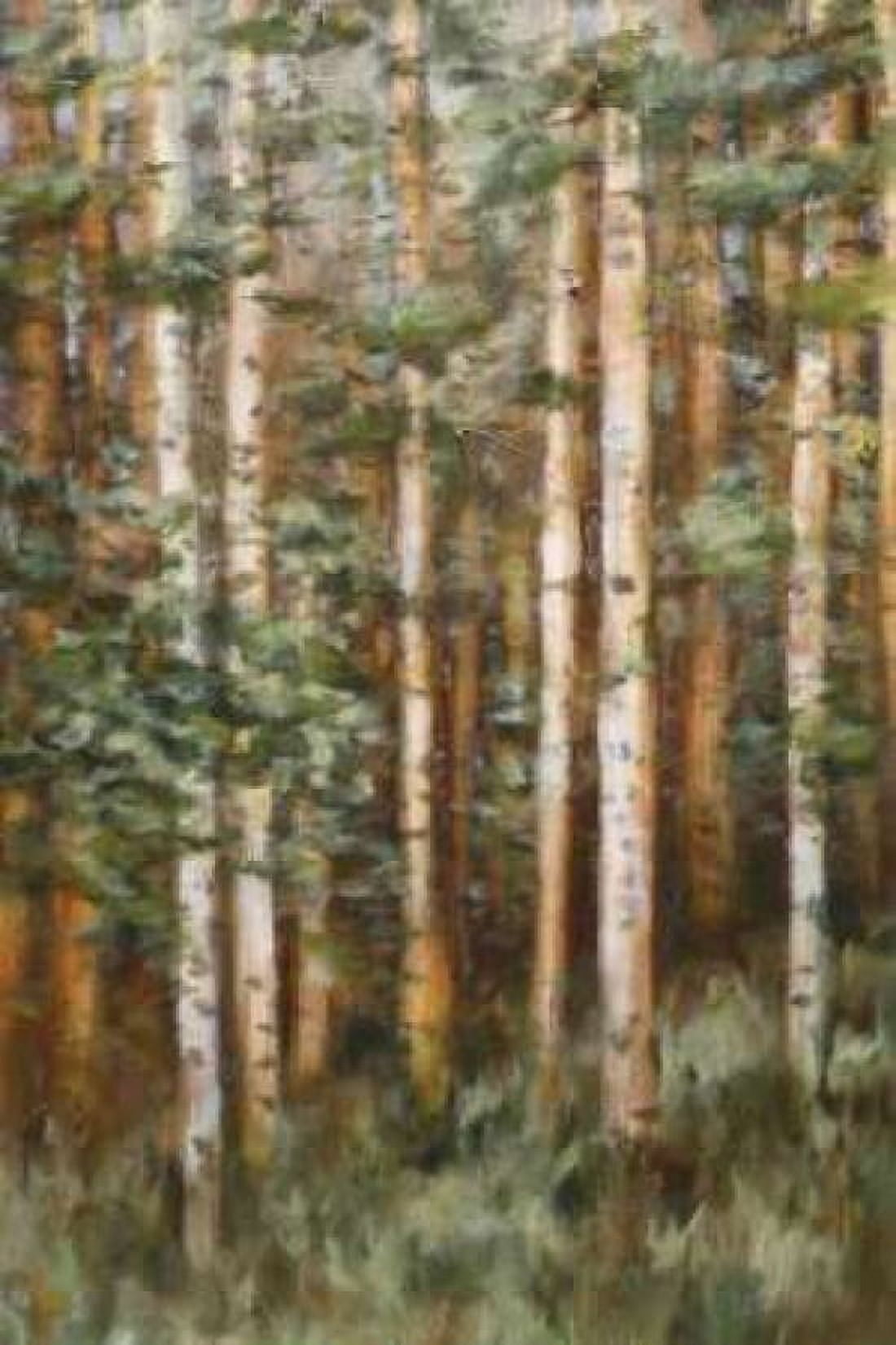 Aspen Beauty II Canvas Art - Scott Lee (12 x 18)