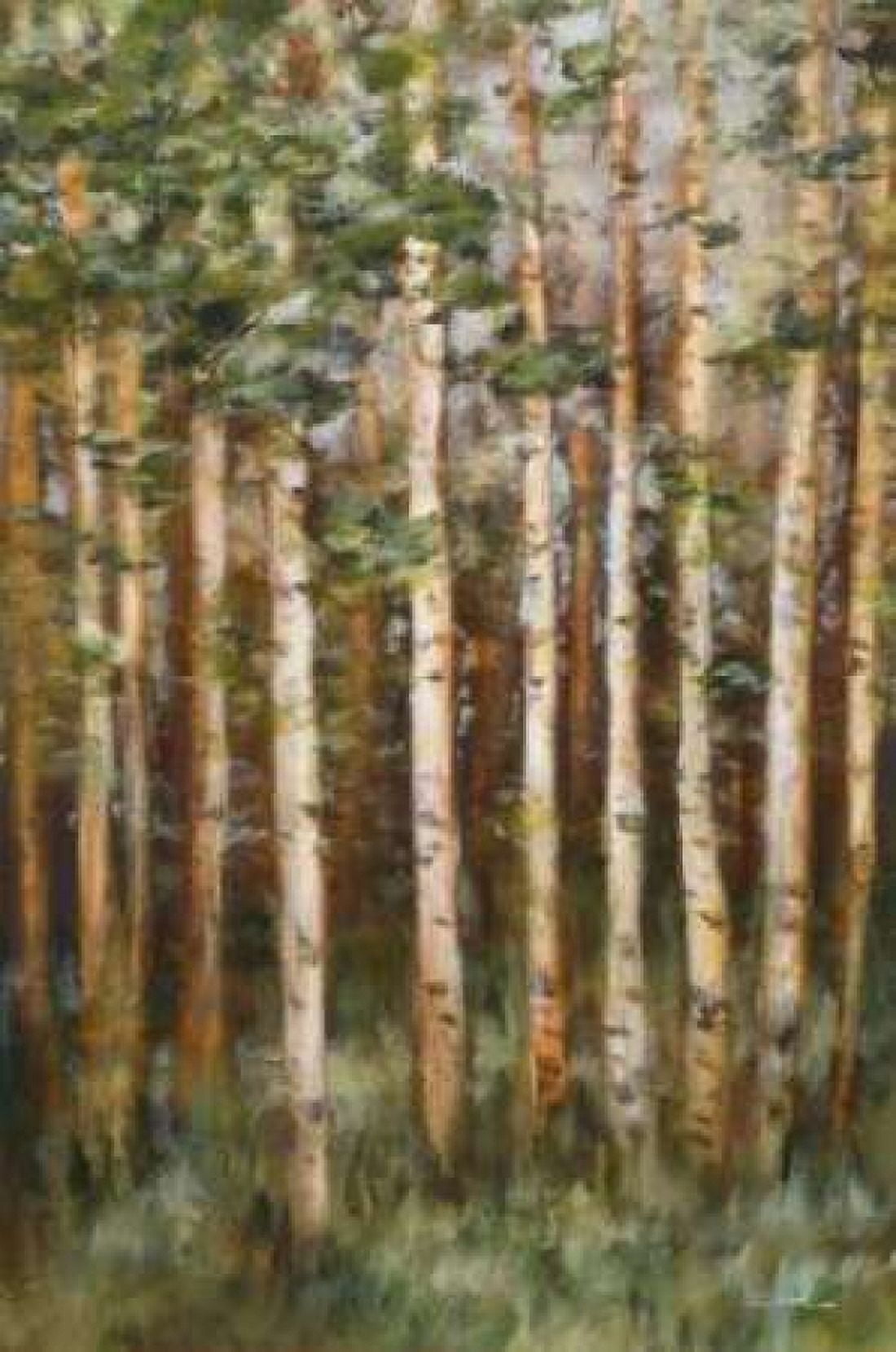 Aspen Beauty III Canvas Art - Scott Lee (12 x 18)