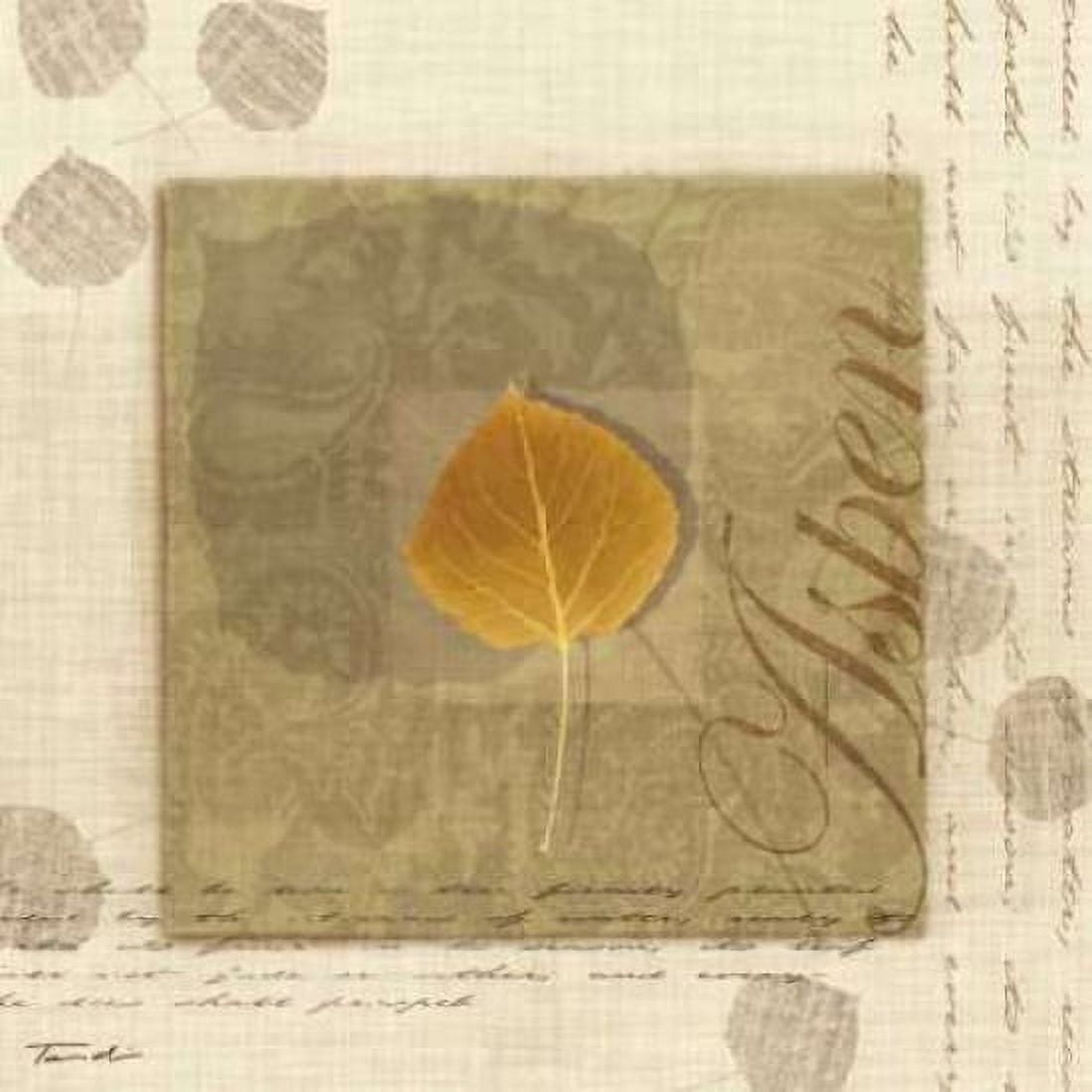 Aspen Canvas Art - Tandi Venter (24 x 24)