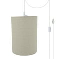 thumbnail image 1 of Aspen Creative 71260-21 One-Light Plug-In Swag Pendant Light Conversion Kit with Transitional Drum Fabric Lamp Shade, Light Grey, 8" width, 1 of 1