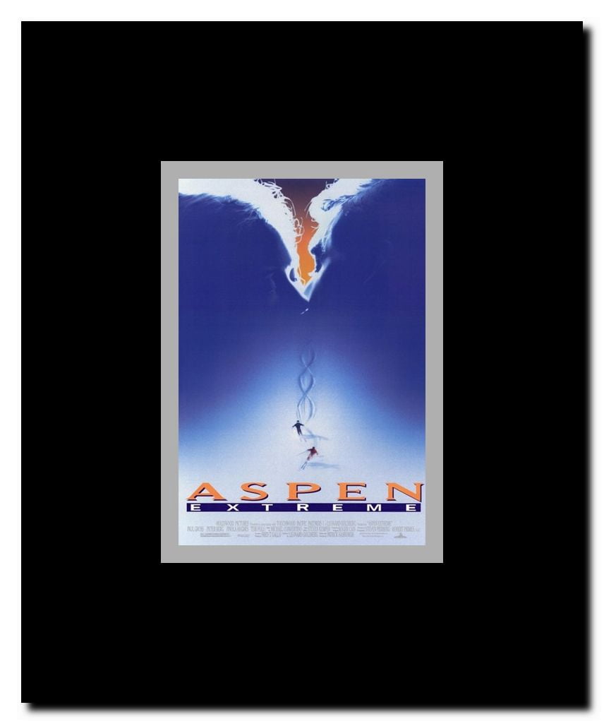Aspen Extreme Framed Movie Poster