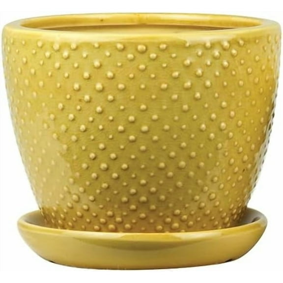 Aspen & Fig Marigold Yellow 8 Inch Indoor Ceramic Plant Pot with Attached Saucer and Drainage Hole for House Plants, Herbs, Flowers, Succulents