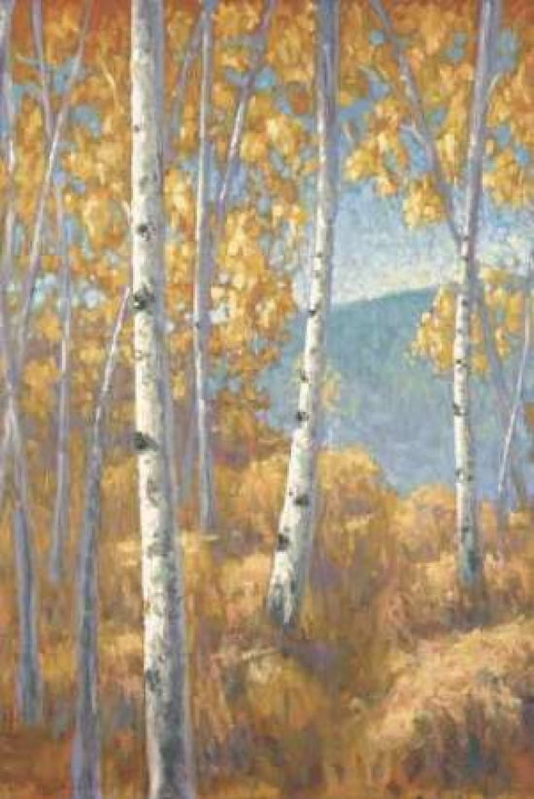 Aspen Forest I Canvas Art - John Macnab (12 x 18)