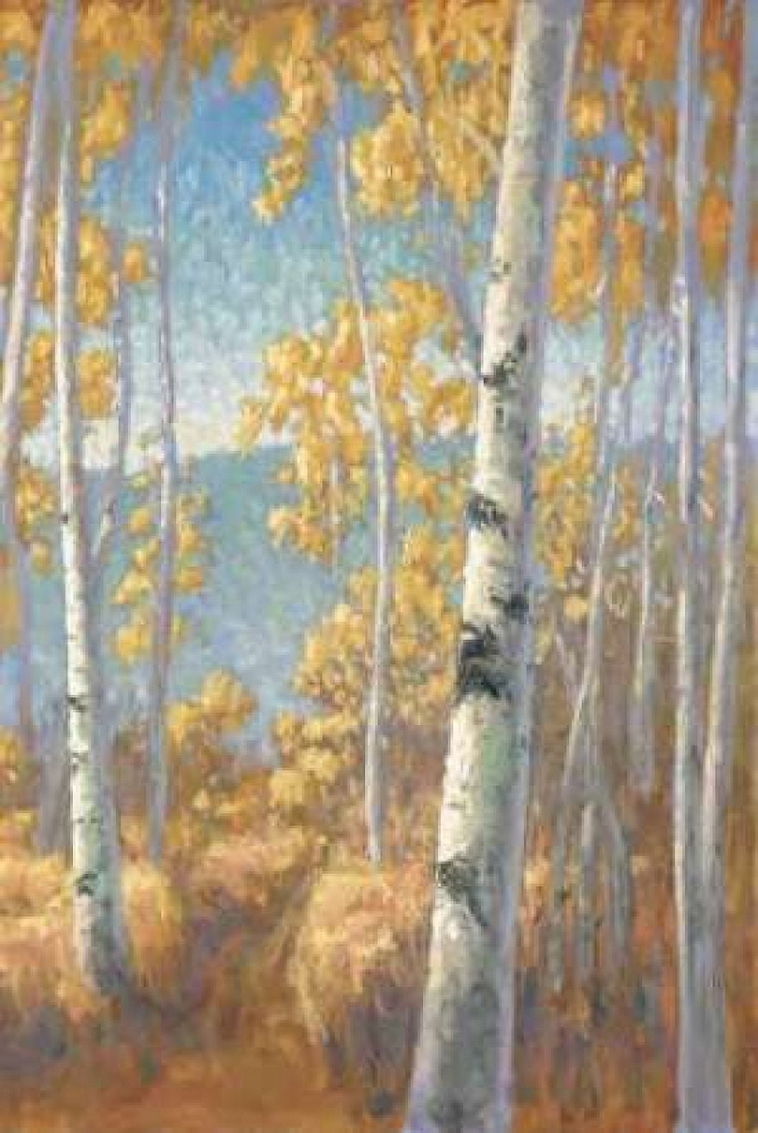Aspen Forest II Canvas Art - John Macnab (12 x 18)