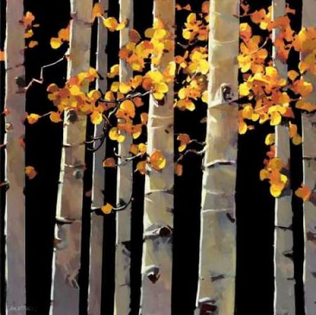 Aspen Grove Canvas Art - Michael OToole (24 x 24)