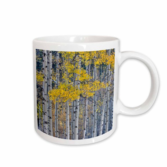 3drose, Aspen Grove in Glowing Golden Colors of Autumn, Colorado, 15oz Mug