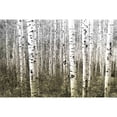thumbnail image 1 of Aspen Highlands by Parvez Taj Painting Print on Wrapped Canvas, 1 of 4