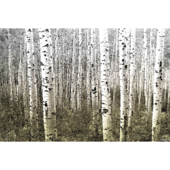 Aspen Highlands by Parvez Taj Painting Print on Wrapped Canvas