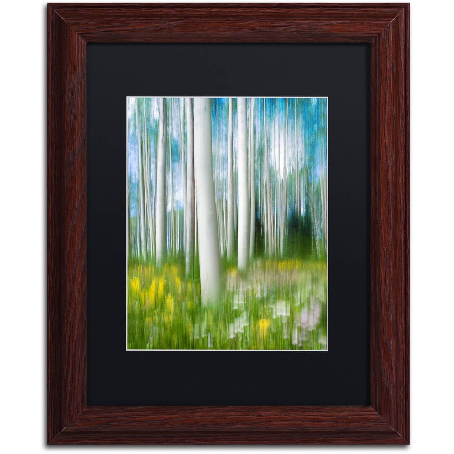 "Aspen Impression" Canvas Art by Michael Blanchette Photography Black Matte, Wood Frame