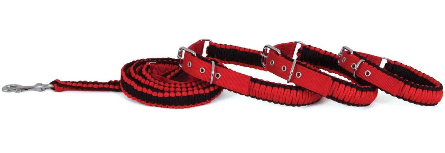Aspen Pet 02155 Paracord Dog Collar, 3/4" x 14-18", Red