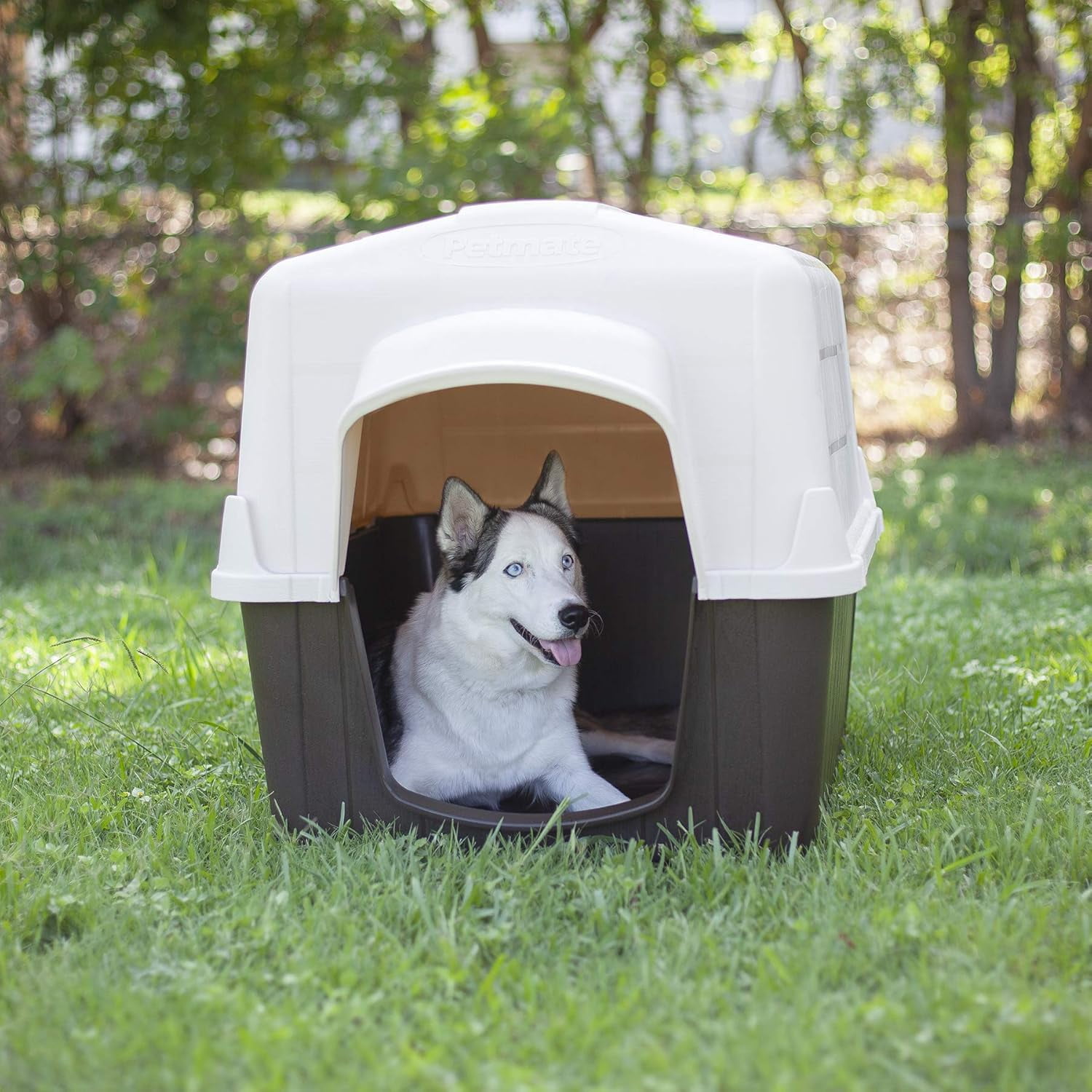 Aspen Pet PetBarn Durable Plastic All Weather Outdoor Dog House
