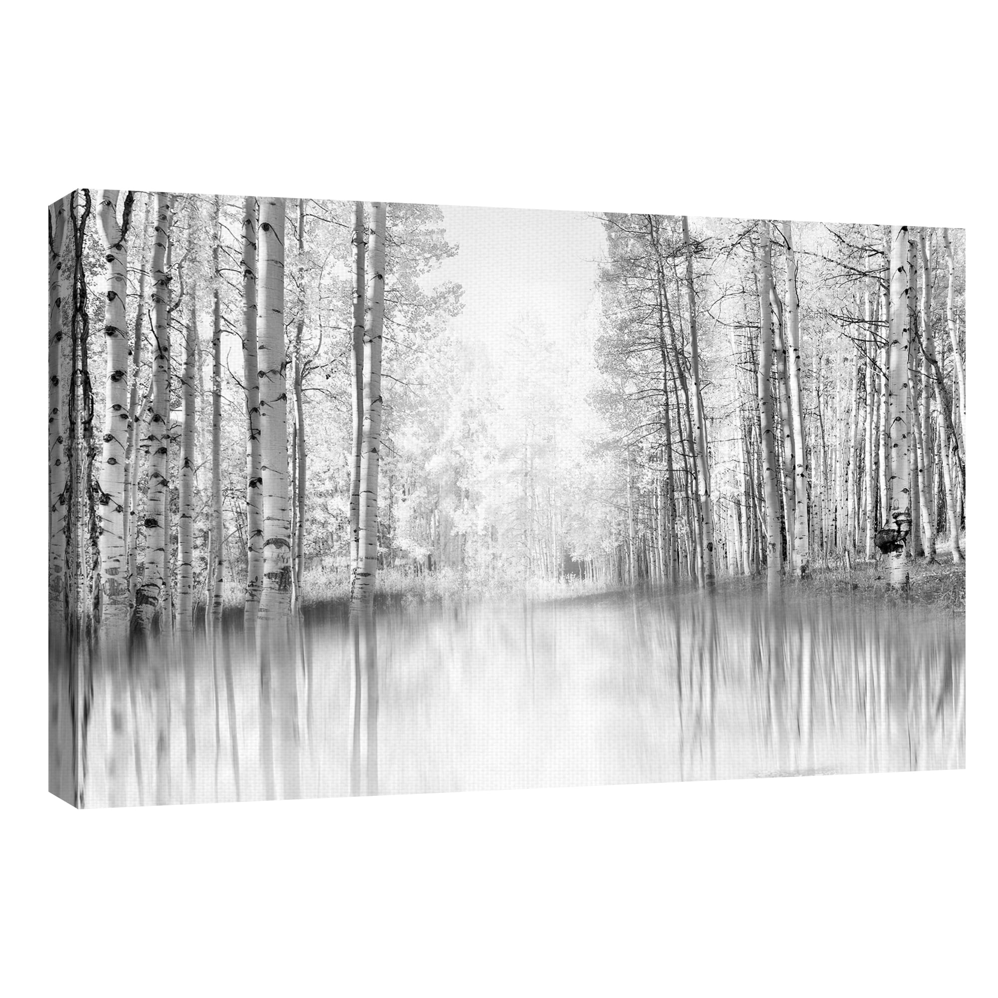 Aspen Reflection by Danita Delimont Canvas Art Print