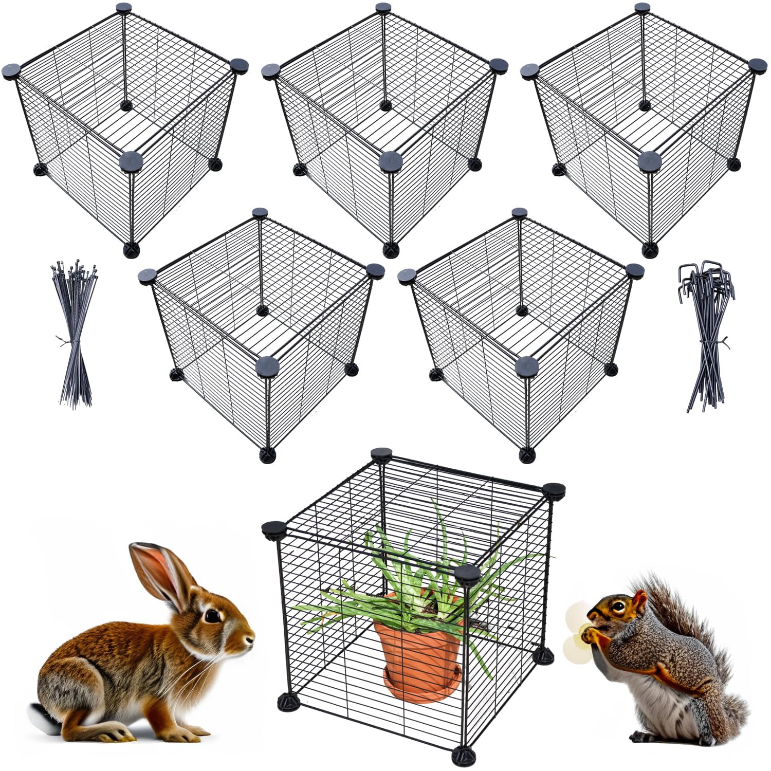 Aspen Supply Company Plant Cages for Outdoor Plants Rabbits from