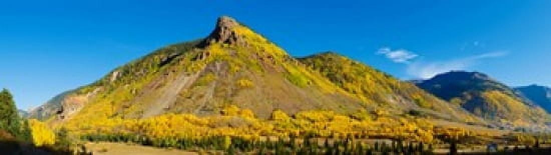Aspen trees on mountain Anvil Mountain Million Dollar Highway Silverton Colorado USA Canvas Art - Panoramic Images (40 x 12)