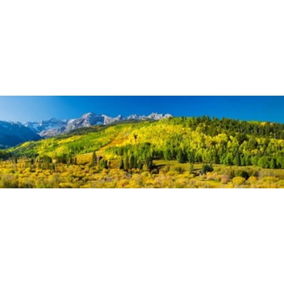 Aspen trees on mountains, Uncompahgre National Forest, Colorado, USA Poster Print (18 x 6)