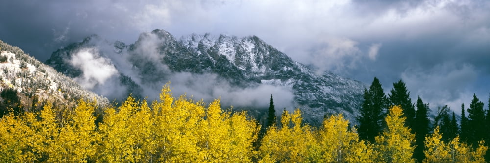 Aspen trees with mountain range in the background Mount Saint John Grand Teton National Park Wyoming USA Canvas Art - Panoramic Images (27 x 9)