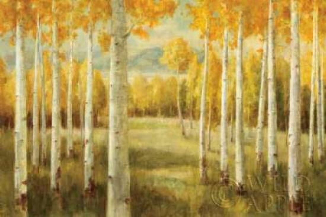 Aspens Canvas Art - Danhui Nai (12 x 18)