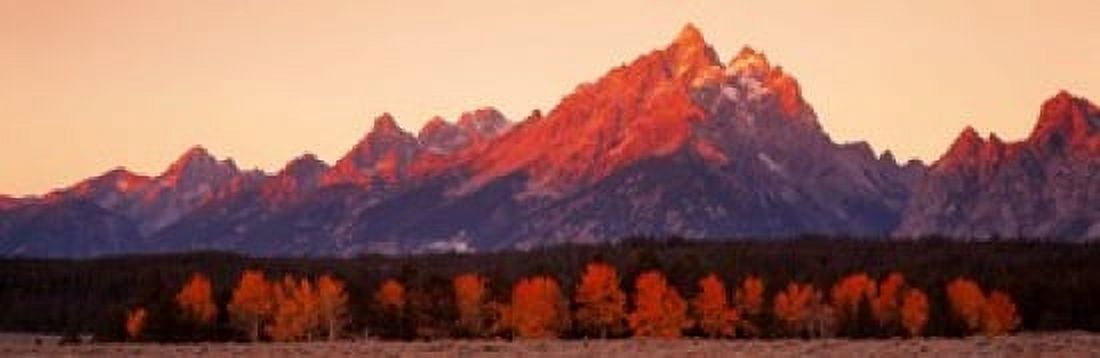 Aspens Teton Range Grand Teton National Park Wyoming USA Canvas Art - Panoramic Images (18 x 6)