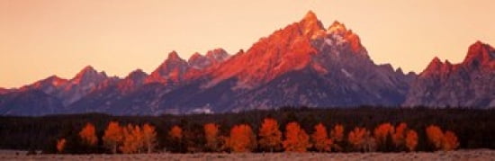 Aspens Teton Range Grand Teton National Park Wyoming USA Canvas Art - Panoramic Images (36 x 12)