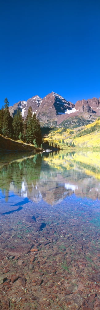 Aspens and morning light Maroon Bells near Aspen Colorado Canvas Art - Panoramic Images (36 x 12)