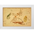 thumbnail image 1 of Aspin, Jehoshaphat 14x11 White Modern Wood Framed Museum Art Print Titled - Lacerta, Cygnus, Lyra, Vulpecula and Anser, 1825, 1 of 4