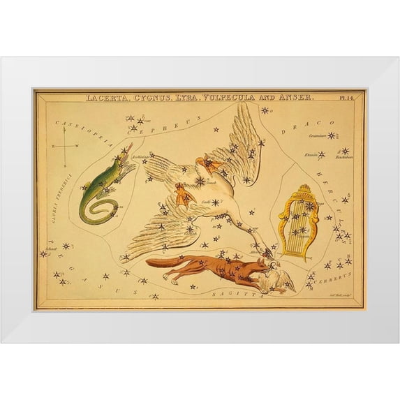 Aspin, Jehoshaphat 18x13 White Modern Wood Framed Museum Art Print Titled - Lacerta, Cygnus, Lyra, Vulpecula and Anser, 1825