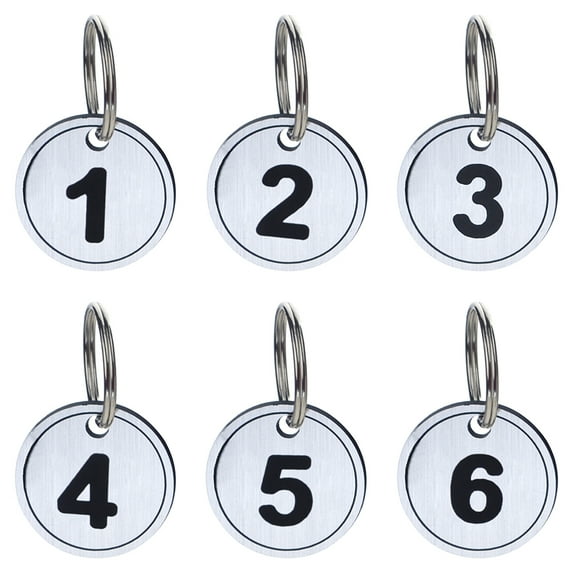Aspire ABS Number ID Tags Keychains, Numbered Key Rings, Metal Key Tag Set, Pack of 200, Silver 1 to 200