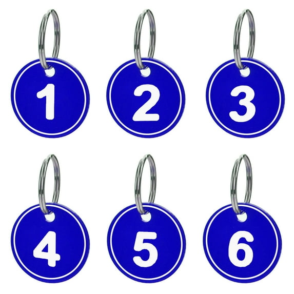 Aspire ABS Number ID Tags Keychains, Numbered Key Rings, Metal Key Tag Set, Pack of 50, Blue 1 to 50